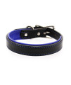 Two-Tone Padded Leather Dog Collar by Auburn Leather - Black and Blue