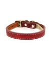 Tuscan Leather Dog Collar by Auburn Leather - Red