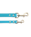 Tuscan Leather Dog Leash by Auburn Leather - Turquoise