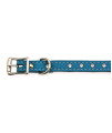 Tuscan Crystallized Leather Dog Collar by Auburn Leather - Turquoise