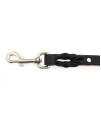 Auburn Leather Braided Dog Leash in Black