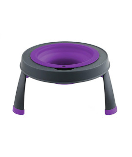 Single Elevated Dog Bowl By Popware - Purple
