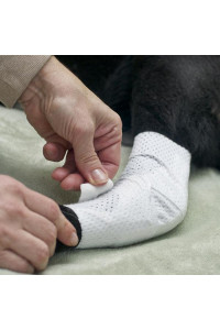 PawFlex Joint Dog Bandages