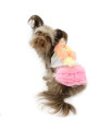Pink Ruffles Dog Dress by Parisian Pet