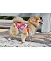 Tunic Country Dog Dress By Parisian Pet - Red Gingham