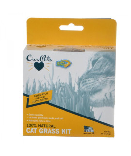 CC KITTY CAT GRASS 11782