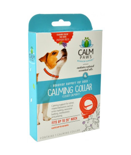 CM CALM PAWS CALMING COLLAR DOG