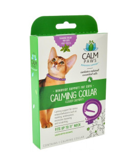 CM CALM PAWS CALMING COLLAR CAT