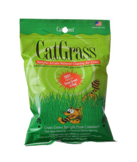 MC FRESH CAT GRASS 100G BAG