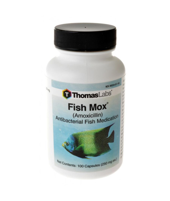TL 100CT FISH MOX 00-10131.C03