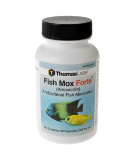 TL 30CT FISH MOX FORTE 10130-C01