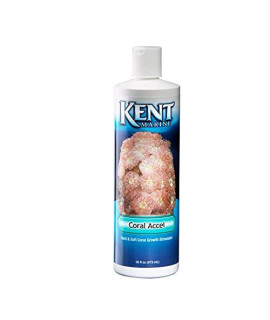 Kent Marine 00559 Coral Accel Hard and Soft Coral Growth Stimulator, 16-Ounce Bottle