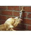 Lixit Faucet Waterer for Dogs