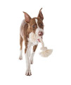 Mammoth Pet Products Flossy Chews 100-Percent Cotton White Rope Bone, Large, 14-Inch (10006V)