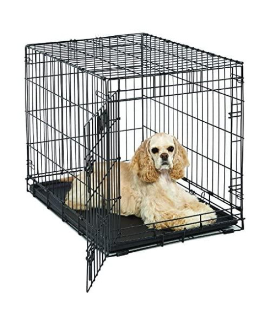 Medium Dog Crate | MidWest Life Stages 30" Folding Metal Dog Crate | Divider Panel Floor Protecting Feet Plastic Tray | 30L x 21W x 24H Inches Medium Dog Breed