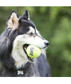 KONG - Squeakair Balls - Dog Toy Premium Squeak Tennis Balls, Gentle on Teethls - For X-Small Dogs (3 Pack)