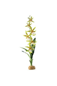 Exo Terra Spider Orchid Terrarium Plant