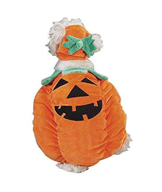 Zack & Zoey Pumpkin Pooch Costume Medium