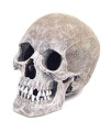 Exotic Environments Human Skull Aquarium Ornament, 5-Inch by 7-1/2-Inch by 6-Inch