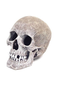 Exotic Environments Human Skull Aquarium Ornament, 5-Inch by 7-1/2-Inch by 6-Inch