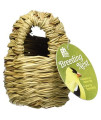 Prevue Pet Products BPV1151 Finch Covered Twig Birds Nest, 4-Inch