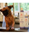 Aroma Paws Dog Shampoo 