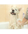 Aroma Paws Dog Shampoo 