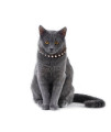 Kitty Planet South Sea Pearl Leather Safety Cat Collar - Mysterious (Black)