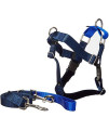 2 Hounds Design Freedom No Pull Velvet Lined Dog Harness and Leash Training Package Royal Blue Large