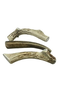 WhiteTail Naturals | 3 Pack Medium | Deer Antler Dog Chews | All Natural Organic Antlers for Dogs