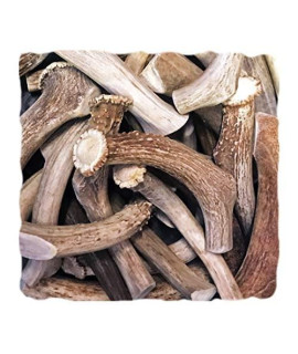WhiteTail Naturals | Premium Deer Antlers for Dogs | 1 Pound (lb) Pack | All Natural Antler Dog Chews | Naturally Shed, Sourced and Crafted in USA | Dental Hygene Treat
