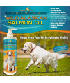 TerraMax Pro Premium Wild Alaskan Salmon Oil for Dogs and Cats ? All-Natural Omega-3 Food Supplement ? Over 15 Omegas ? EPA - DHA Fatty Acids ? Natural Astaxanthin - Vitamin D ?! 16 FL OZ