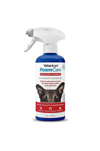 Vetericyn FoamCare Medicated Pet Shampoo. For Dogs, Cats and All Animals with Sensitive Skin. Anti-Itch, Promotes Healthy Skin and Coat, Hypoallergenic in Easy Spray Bottle. 16 Ounce, 473 Milliliters.