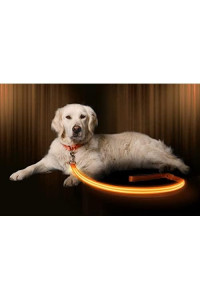 LED Dog Leash - USB Rechargeable - Your Dog Will Be More Visible & Safe - 6 Colors (Red, Blue, Green, Pink, Orange & Yellow) - Perfect to Use with Our Matching Illumiseen Collar (6 Feet, Orange)
