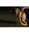 LED Dog Leash - USB Rechargeable - Your Dog Will Be More Visible & Safe - 6 Colors (Red, Blue, Green, Pink, Orange & Yellow) - Perfect to Use with Our Matching Illumiseen Collar (6 Feet, Orange)