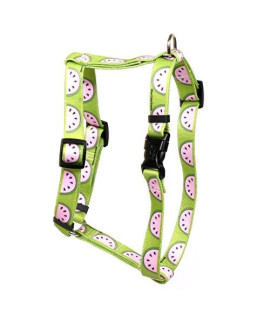 Yellow Dog Design Wonderful Watermelons Roman Style Dog Harness-Small/Medium-3/4 and fits Chest 14 to 20"