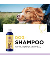 Cleansing Dog Shampoo for Smelly Dogs - Refreshing Colloidal Oatmeal Dog Shampoo for Dry Skin and Dog Bath Soap - Moisturizing Dog Shampoo Oatmeal Lavender Formula for Great Smelling Dog Wash