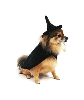 Midlee Halloween Witch Cape and Hat Dog Costume (Small)