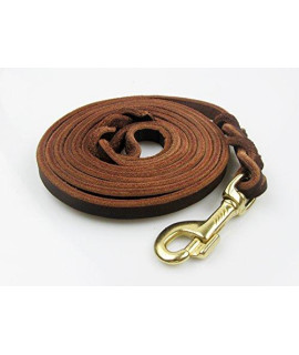 ZEEY Pet Leads for Dogs, 260 cm x 1.2 cm, Durable Genuine Brown Leather Leash with Classic Braid Handle and Metal Clasp for Medium Pet Dogs, Collar & Harness Available Separately (Copper Clasp)