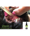 Dr. Judy Morgans Dental Health Formula for Dogs & Cats, Naturally Healthy Pets New Zealand Deer Antler Velvet Oral Drops