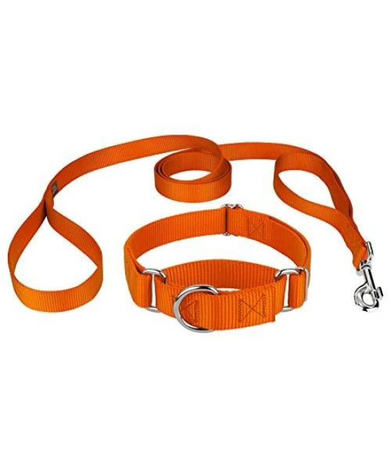 Country Brook Design - Martingale Nylon Dog Collar & Double Handle Leash-Orange-S