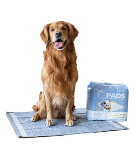 Alpha Paw - Thicker XL Pee Pads for Dogs - Puppy Training - Peel & Stick Backing - Activated Charcoal for Odor - Thicker for Absorption - XLarge - 26 x 30 (40 Count)