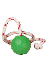 Dotted Solid Unsinkable Rubber Water Dog Ball - Green, Small (2 inch) with String for Training and Playing
