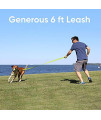 Pawtitas 6 FT Solid Color Leash for Puppy Leash Dog Leash Comfortable Handle Dog Training Leash 6 ft Dog Leash Extra Small Dog Leash / Small Dog Leash Black Dog Leash