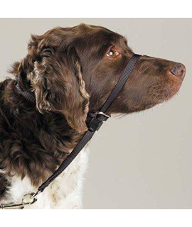 Gentle Leader Dog Training Headcollars Safely Teach Your Pup to Walk Straight(Medium Headcollar Black)