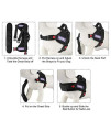 PetLove Dog Harness, Adjustable Soft Leash Padded No Pull Dog Harness for Small Medium Large Dogs, Black