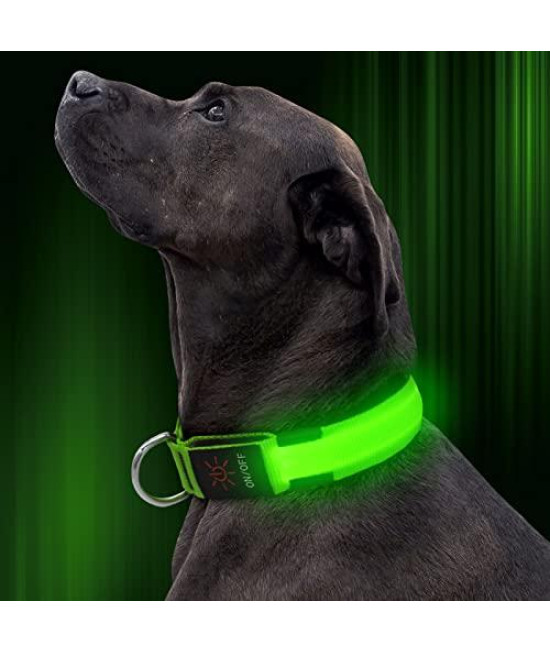 Illumifun LED Dog Collar, Nylon Adjustable Light Up Collar, USB Rechargeable Glowing Dog Collar Make Your Dogs Be Visible& Safe at Night(Green, Large)