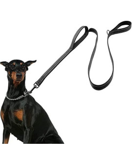 Dog Leash for Large Dogs, Traffic Padded 2 Handles for Extra Control, 6 FT Long with Reflective Stitch for Night Walking