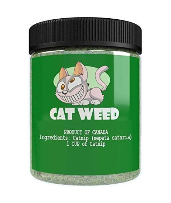 Cat Weed Catnip has Maximum Potency Premium Blend Nip That Your Cats to Go Crazy Over (1 Cup)