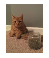 Cat Weed Catnip has Maximum Potency Premium Blend Nip That Your Cats to Go Crazy Over (1 Cup)